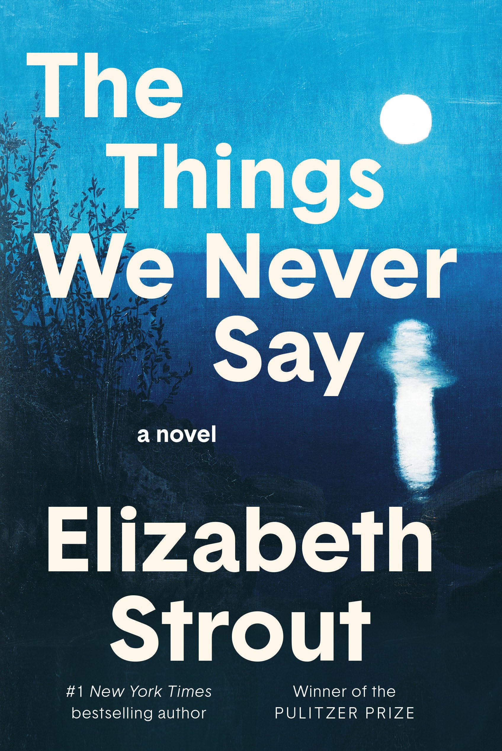 Book Review: The Things We Never Say by Elizabeth Strout